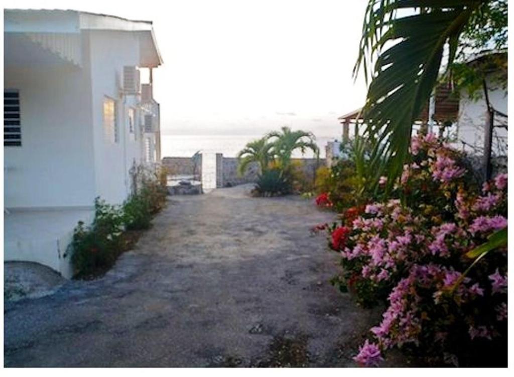 Dolphin Hearthouse Villa Lagun Room photo